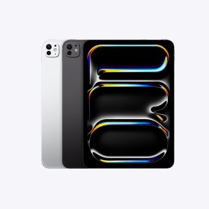 Apple iPad Pro 11 inch (5thGen/2024) M4 256GB Wi-Fi